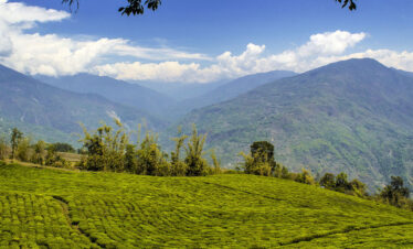 DARJEELING-KALIMPOMG & PESHAK