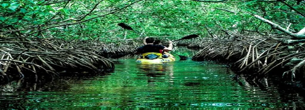 Baratang Island: A Hidden Gem of the Andaman Archipelago